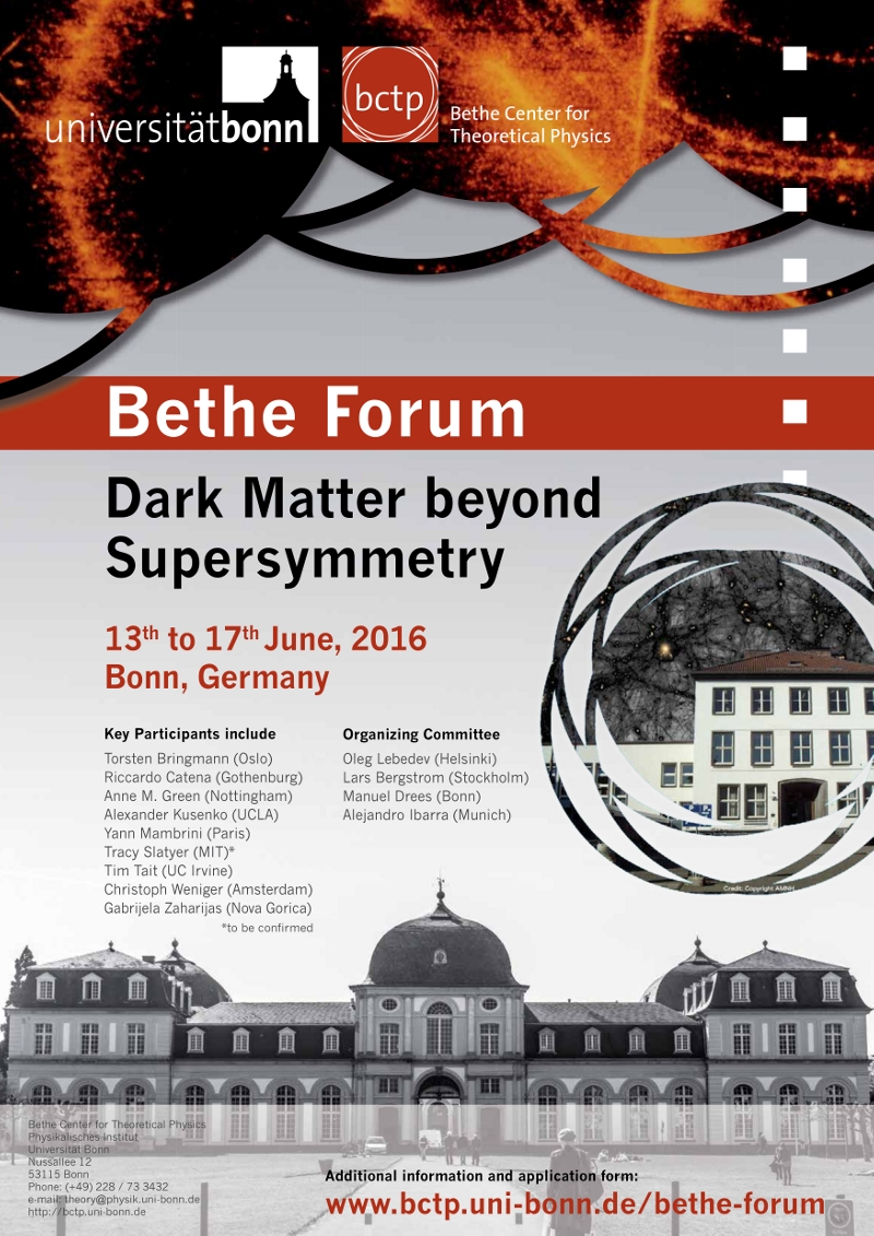 Dark matter beyond Supersymmetry Poster
