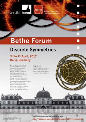 Poster Discrete Symmetries