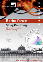 String Cosmology Poster